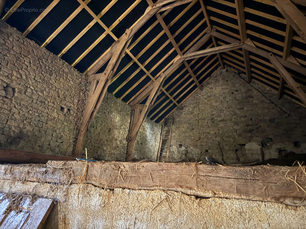 Auv 1225: Maison de caractère, grande grange, toits neufs, 1640m2 - photo 61
