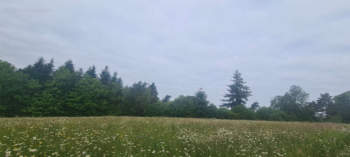 Terrain à PALAZINGES