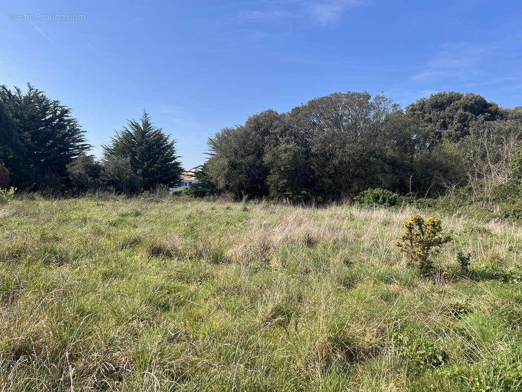 Terrain à L'ILE-D'YEU