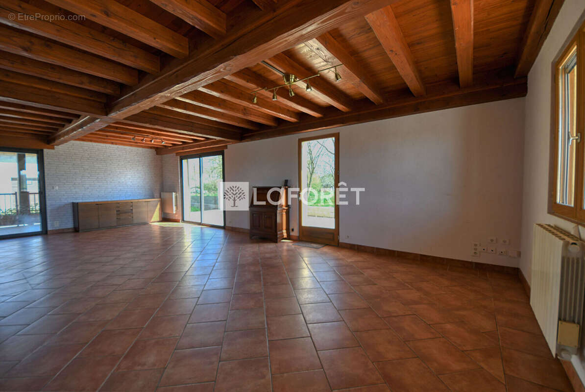 Maison à LISLE-SUR-TARN