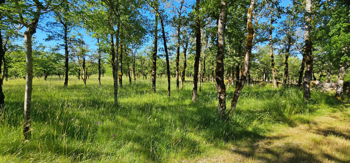 Propriété de charme en pierre au coeur des Causses du Quercy - photo 4