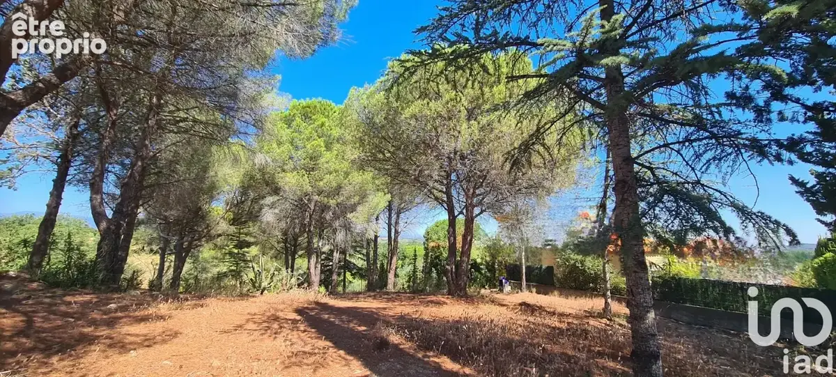Photo 1 - Terrain à MONTESQUIEU-DES-ALBERES