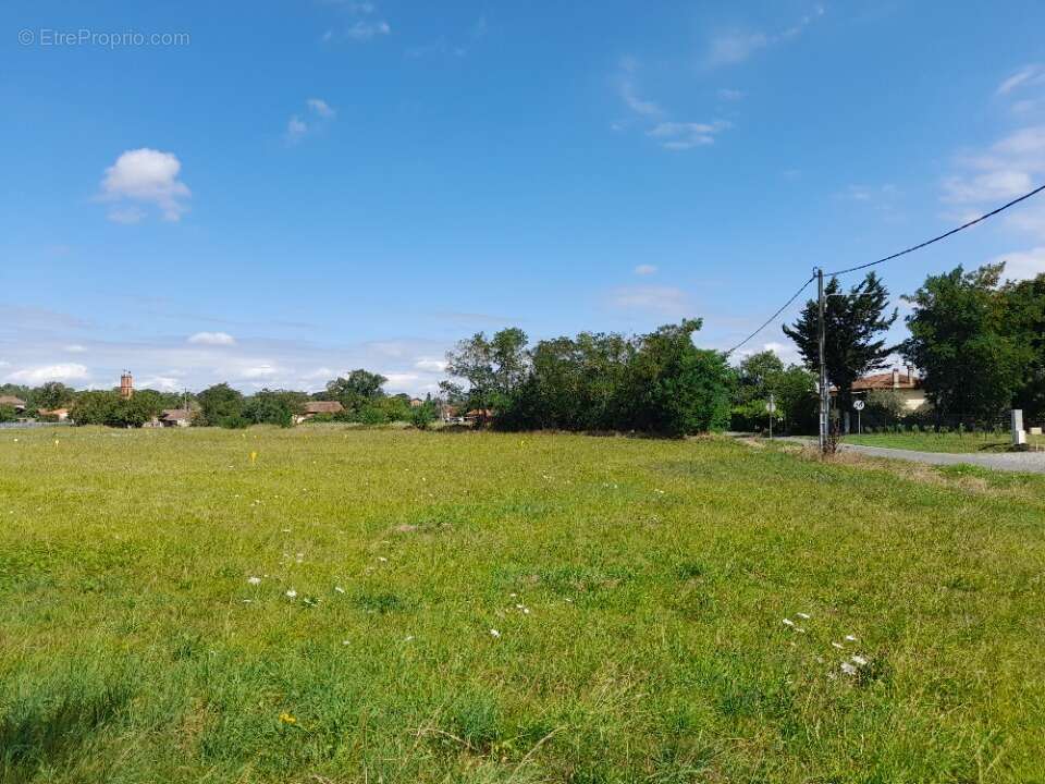 Terrain à LAFITTE-VIGORDANE