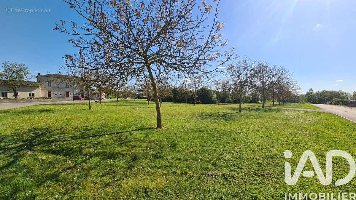 Photo 3 - Terrain à MASSOGNES