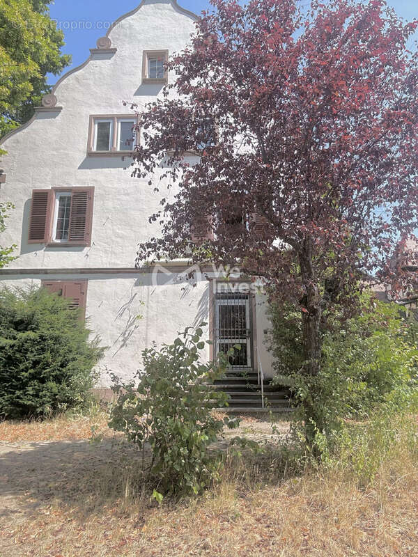 Maison 401 m² à Barr  - photo 6