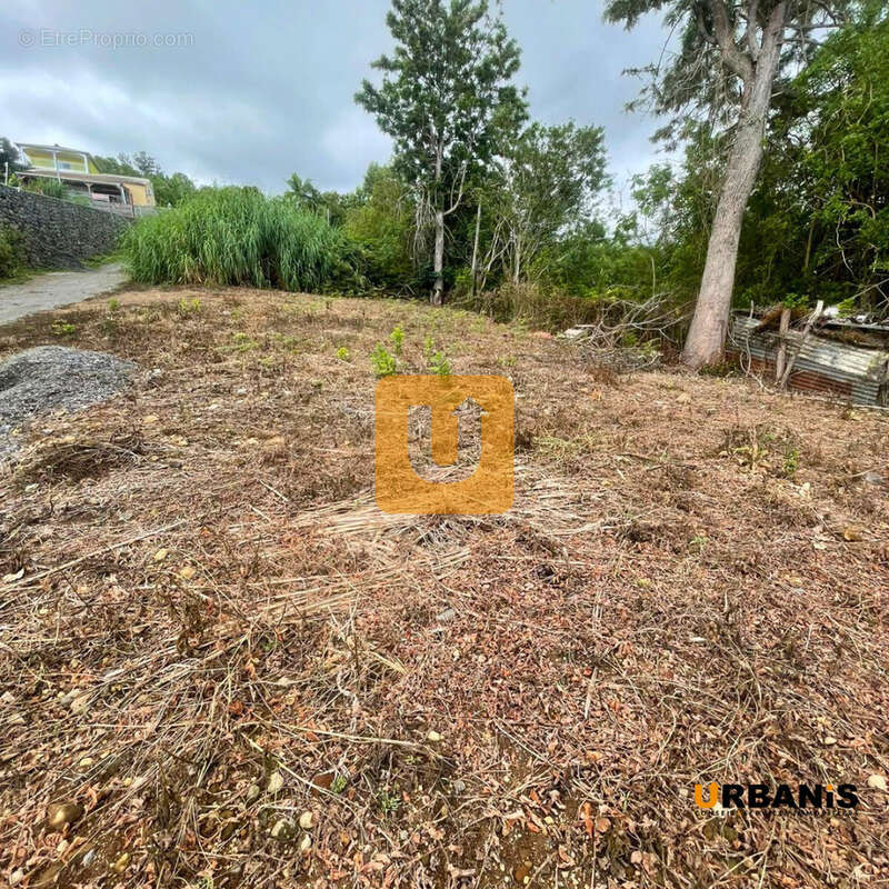 Terrain à LES TROIS-BASSINS