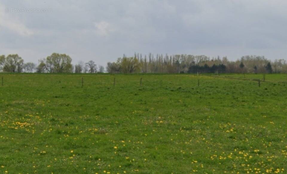 Terrain à ASPACH-LE-BAS