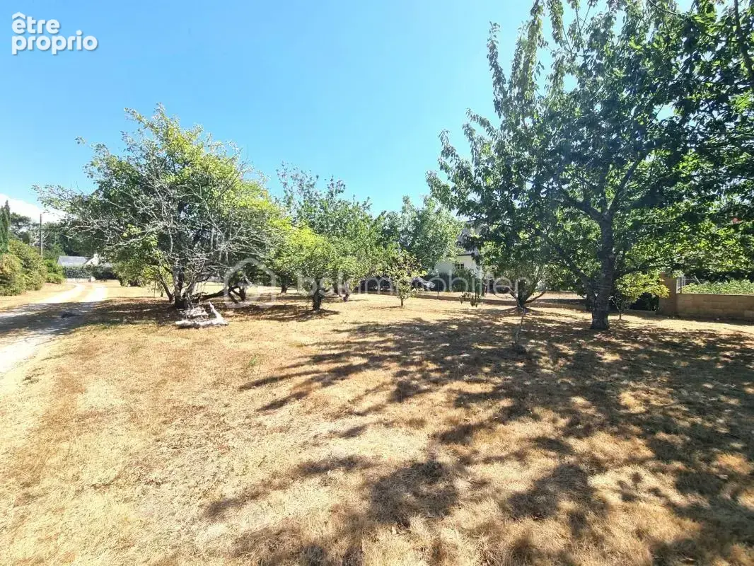 CLOHARS-CARNOËT – Maison 5 chambres avec vie de plain-pied sur plus de 2 000 m² - photo 3