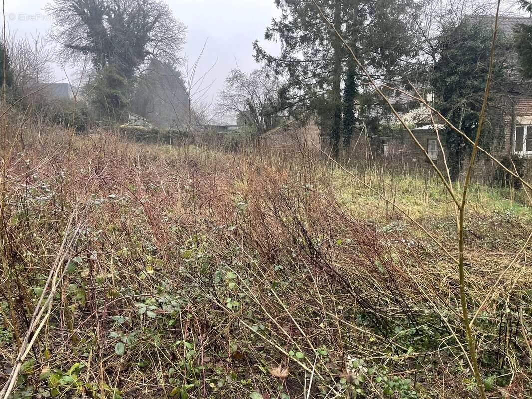 Maison à NEUVILLE-SOUS-MONTREUIL