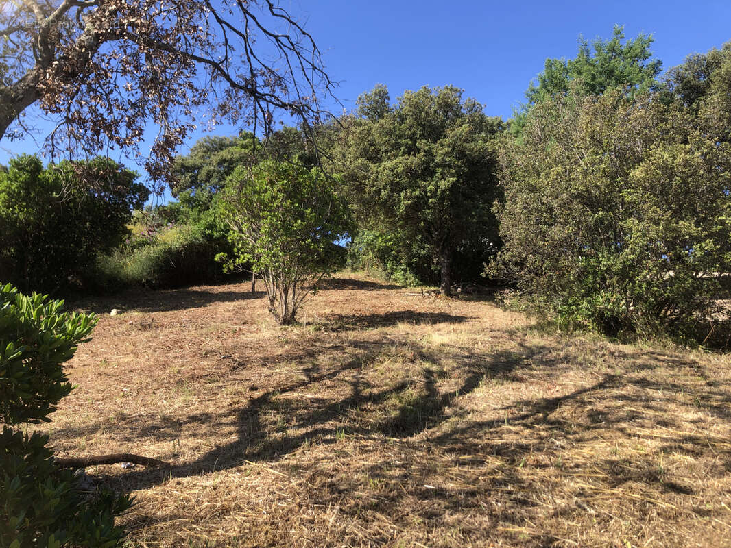 Terrain à PROPRIANO