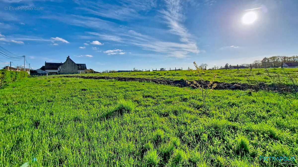 Terrain à SAINT-REMY