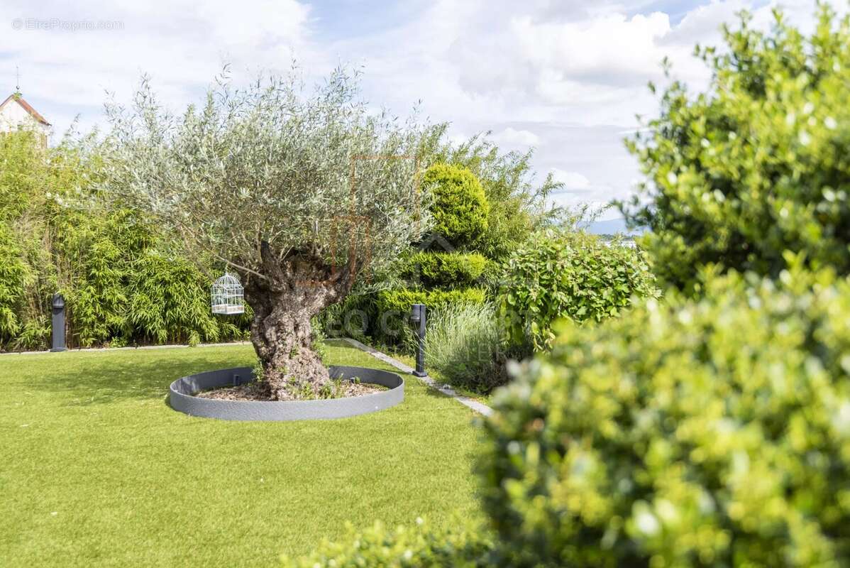 Maison à SCHIRRHEIN