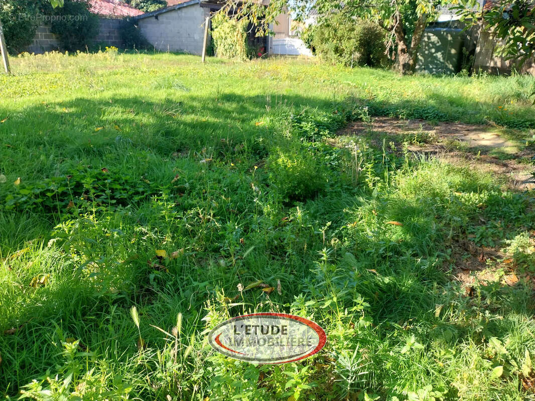 Photo 2 - Terrain à SAINTE-PAZANNE