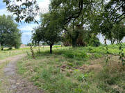 Terrain à RION-DES-LANDES