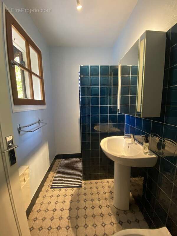 Maison 195 m² à La Douze  - photo 4
