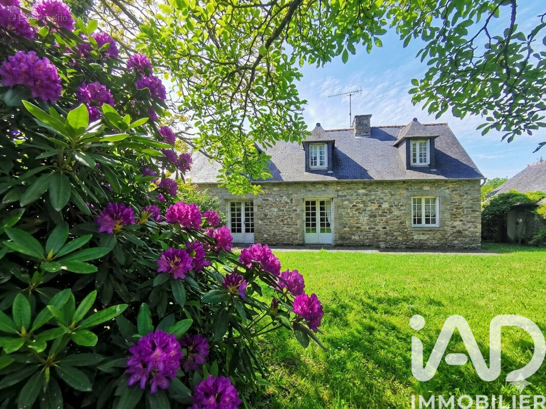 Photo 1 - Maison à PLOUEC-DU-TRIEUX