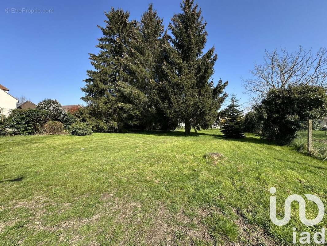 Photo 3 - Terrain à CHANTELOUP-EN-BRIE