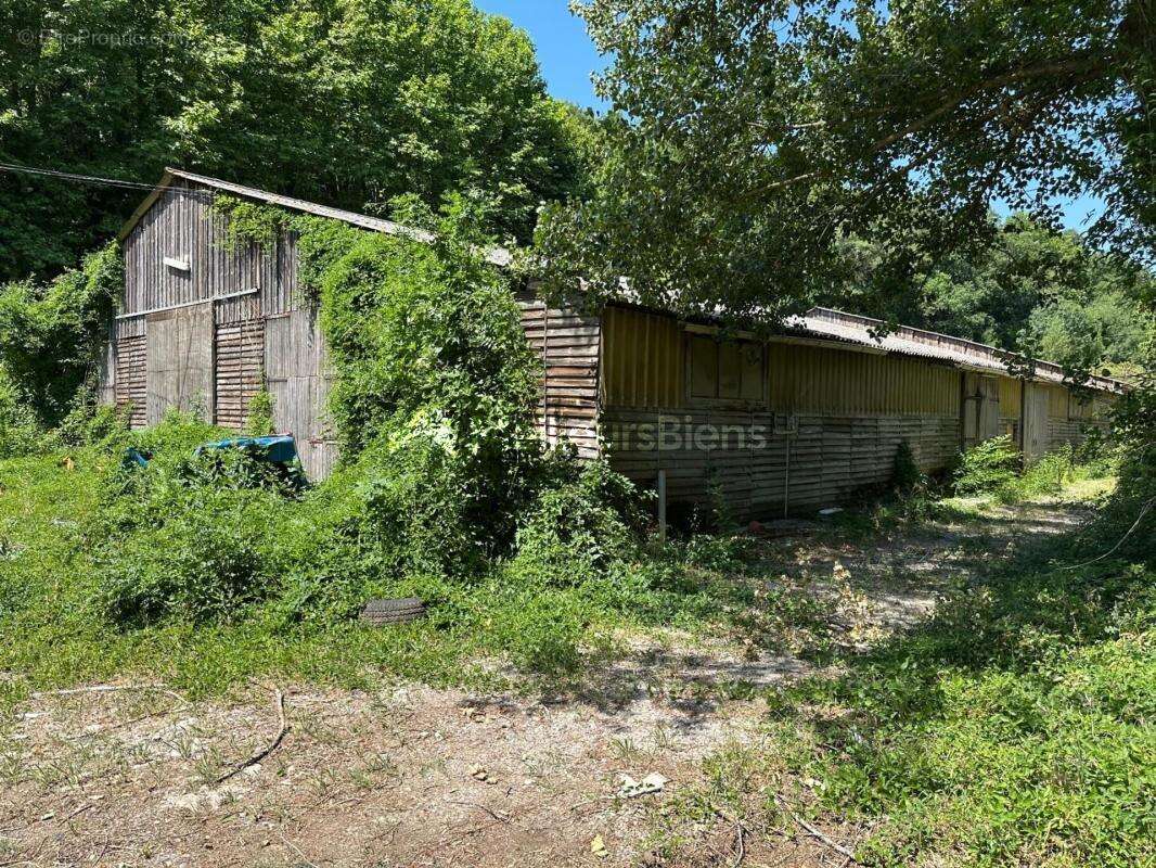 Propriété agricole avec terrain de 4 hectares - photo 3