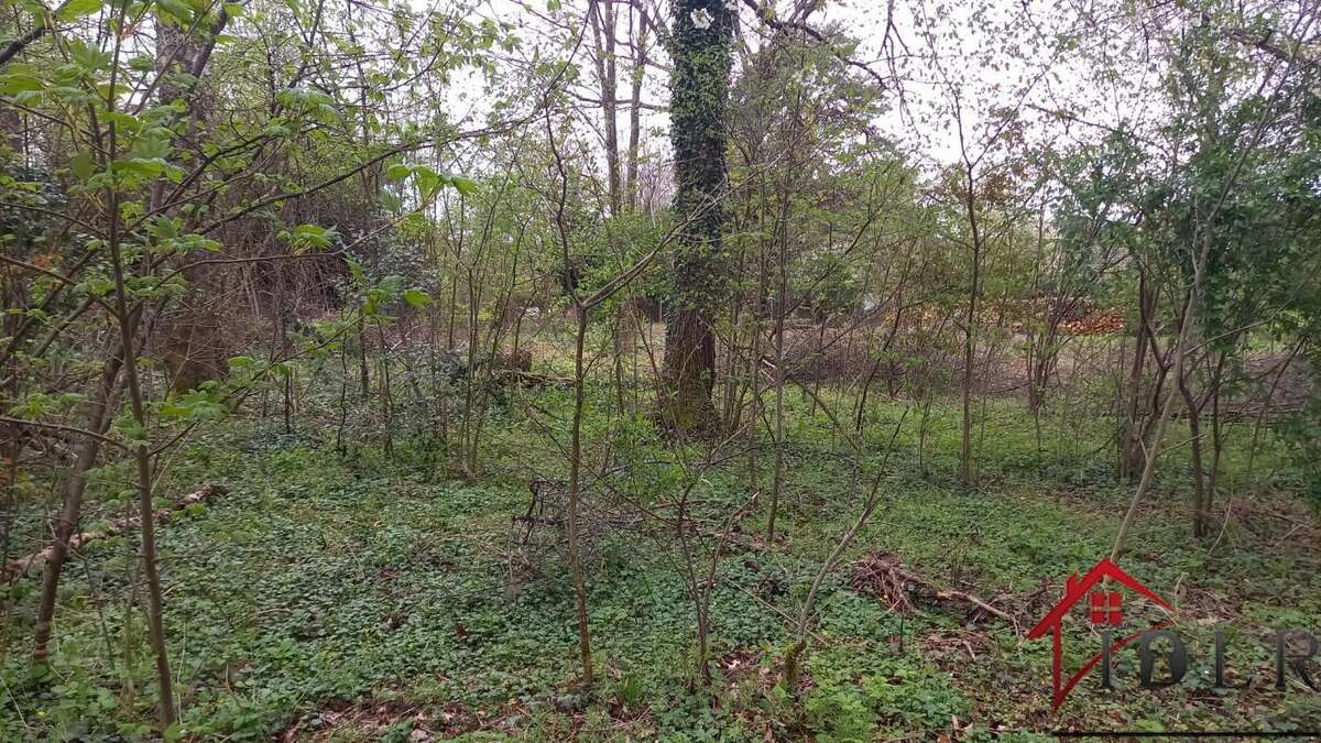 Terrain à SAINT-GERMAIN-LES-ARLAY