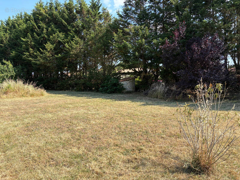 Terrain à PEAULT