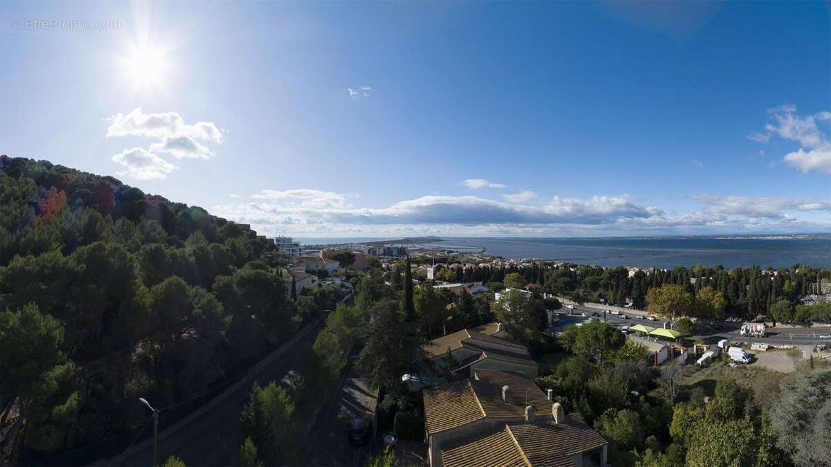 Sète - Face au Bassin de Thau : T4 traversant avec 62 m² de terrasse - photo 10