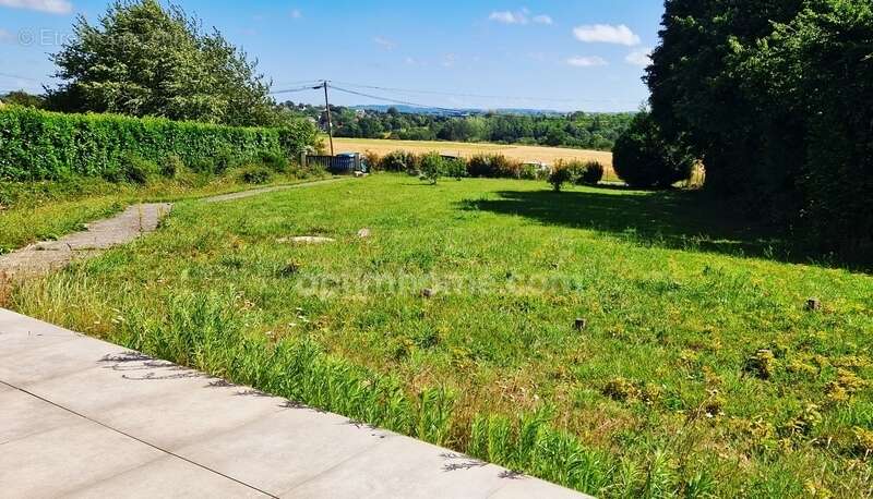 Maison contemporaine 125 m², Terrain de 1600 m² – DPE A – 4/5 ch. + sous-sol – Plein Sud à 2.5 km des commodités et 10 mn de St  - photo 5