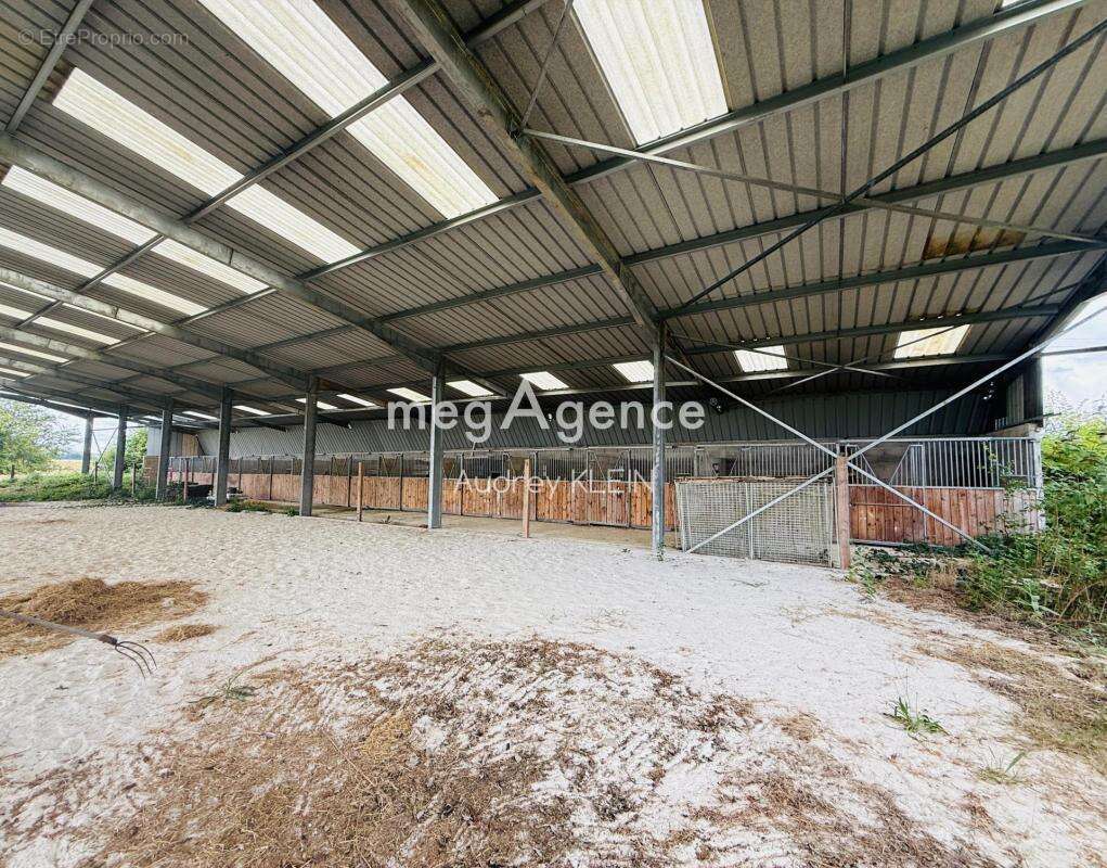 Belle propriété au calme avec terrain, piscine et box équestre - photo 16