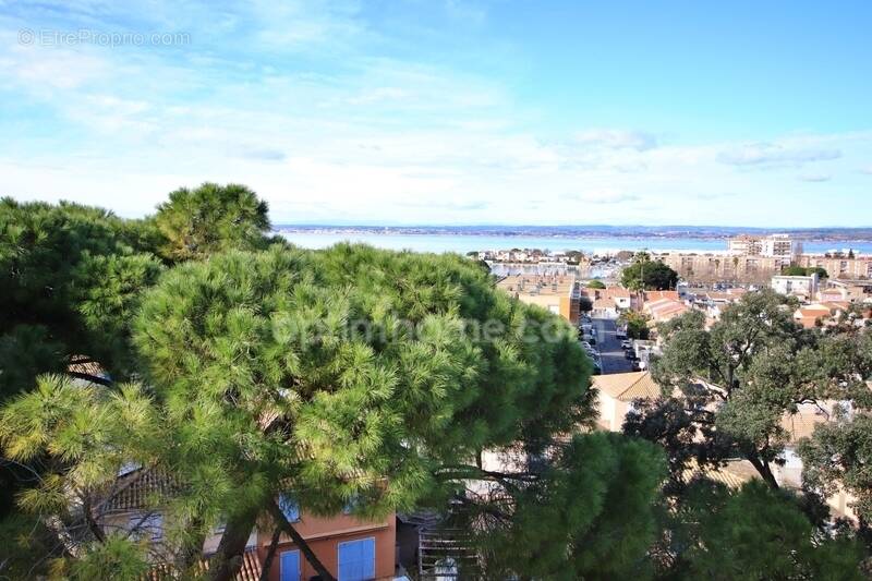 Appartement à SETE