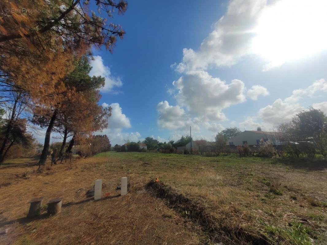 Terrain à L&#039;ILE-D&#039;OLONNE