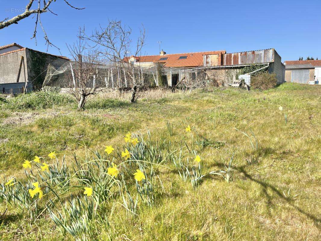 Terrain à PONT-SAINT-MARTIN