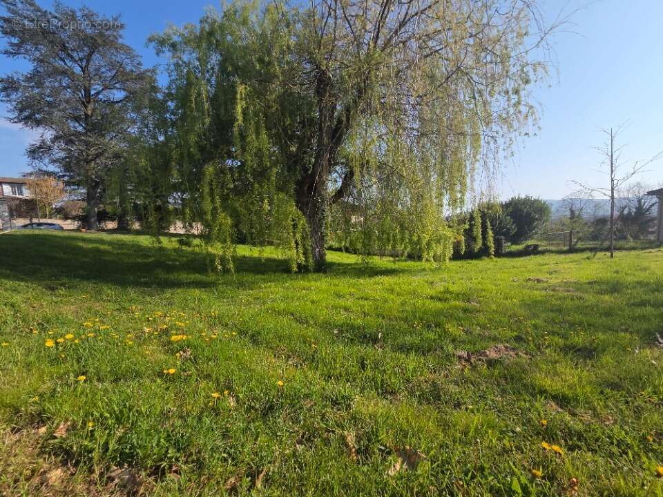 Terrain 841 m² à Dommartin  - photo 2