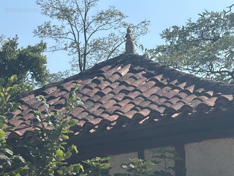 MARCIAC(32): ancienne SEIGNEURIE avec BEAU CHATEAU XIV sur 3,5ha, cachée, au bout du chemin, sans voisin, en campagne, 500m2 hab - photo 58