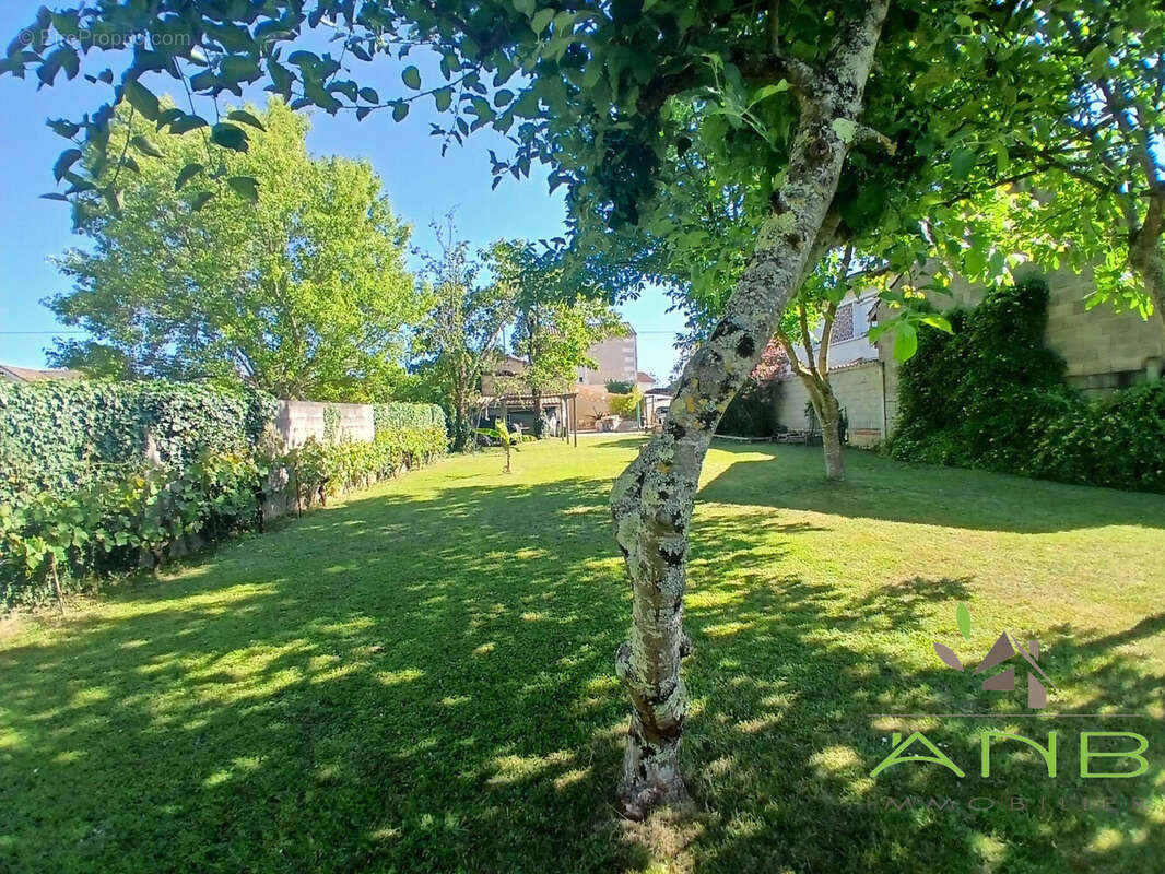 Maison 202 m² à L'isle-D'espagnac  - photo 3