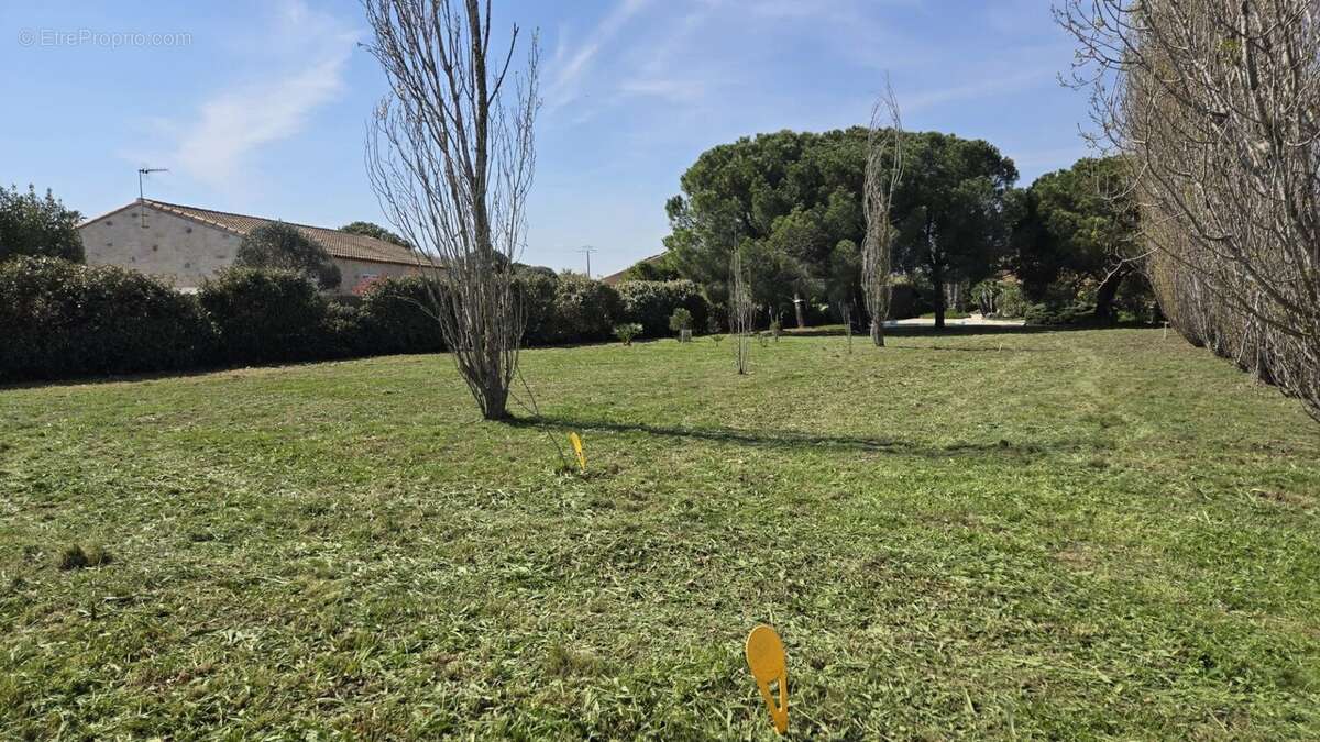 Terrain à MARSEILLAN