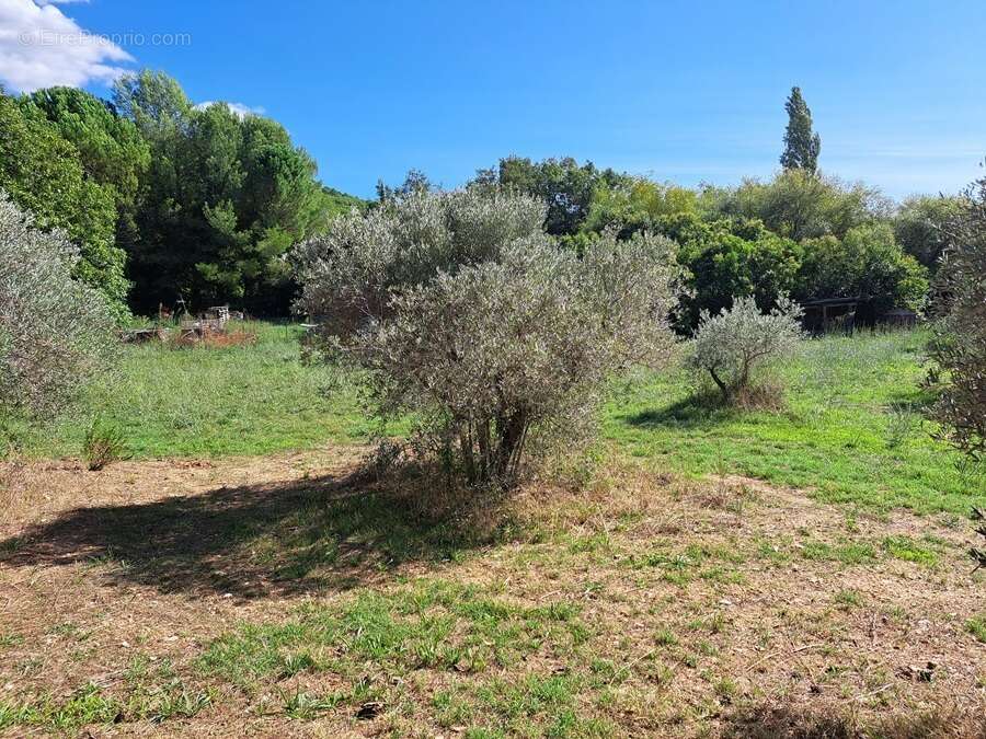 Terrain à VENTABREN