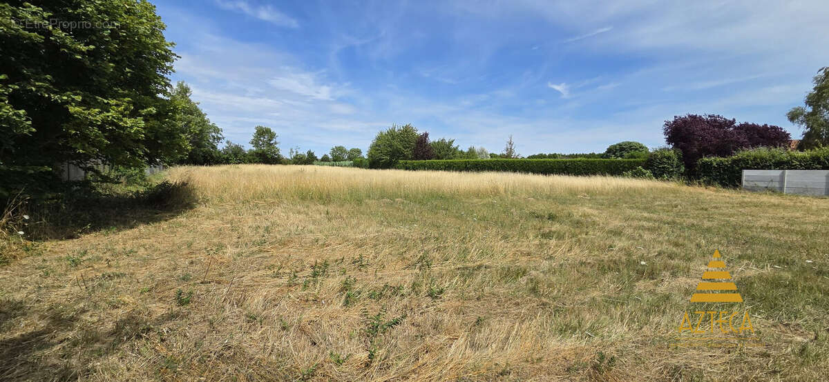 Terrain 3445 m² à Marquion  - photo 7