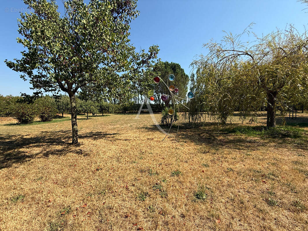 Une propriété d'exception 282m² - 7500m² de terrain - photo 12