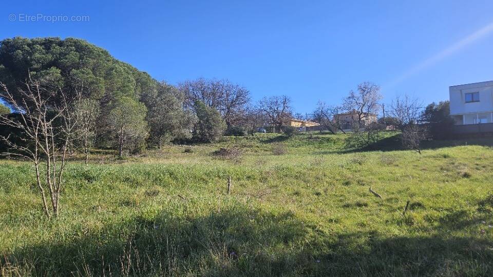 Terrain à ROQUEBRUNE-SUR-ARGENS
