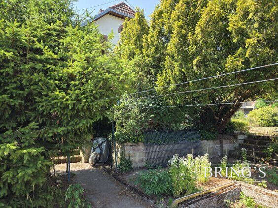Maison 164 m² à Wingen-Sur-Moder  - photo 9