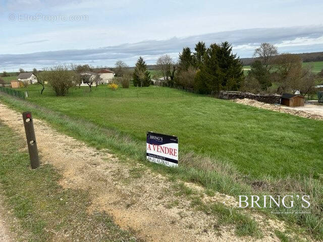 Terrain à LEMMES
