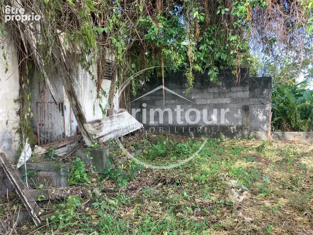 À vendre   Terrain constructible de 2999 m2 à Basse-Terre - photo 8