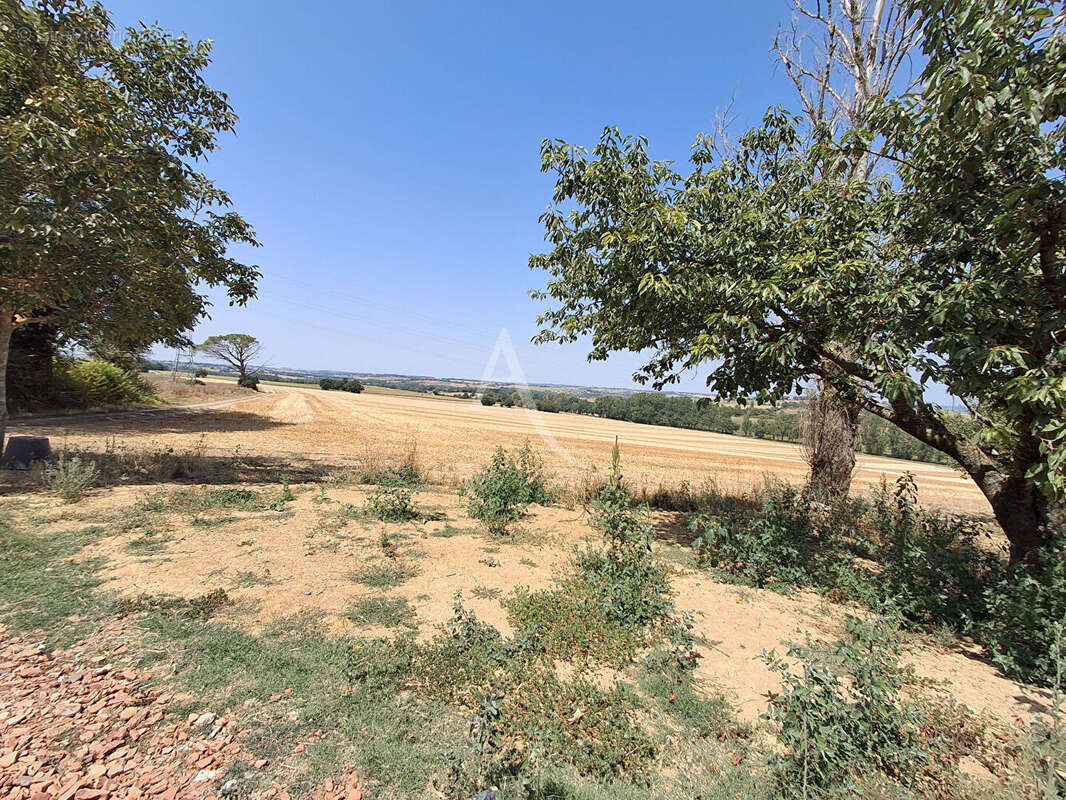 Terrain à L'ISLE-JOURDAIN