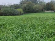 Terrain à BOURG-SAINT-CHRISTOPHE