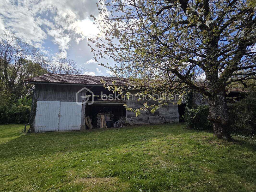 Ensemble immobilier à fort potentiel – calme, verdure et multiples dépendances - photo 21