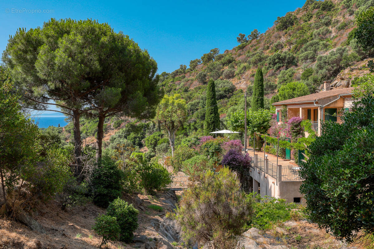 Maison à LE LAVANDOU