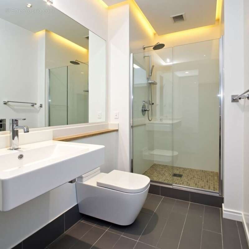 Appartement à BLAGNAC