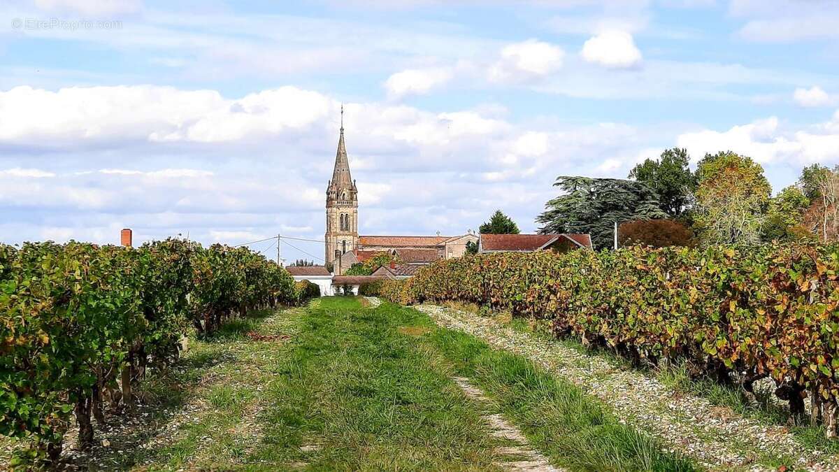 Terrain à MARTILLAC