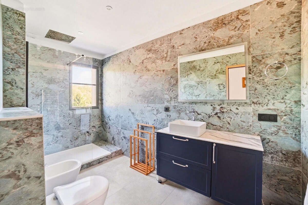 Maison à POLEYMIEUX-AU-MONT-D'OR