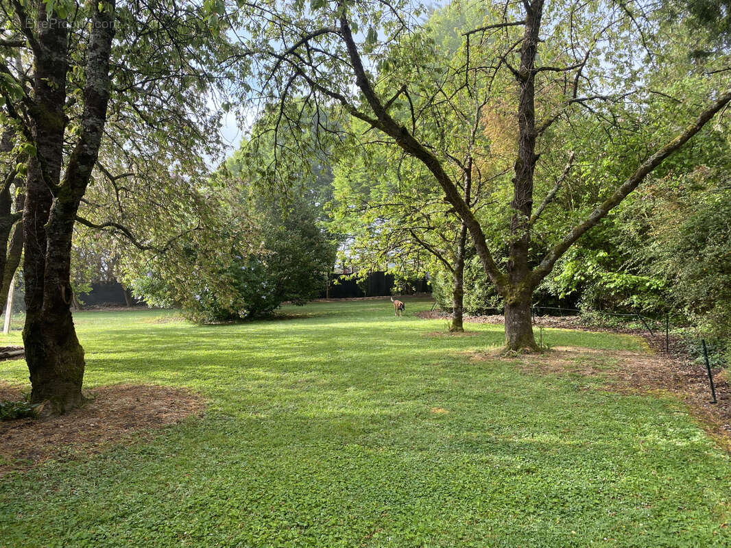 Maison à SEICHES-SUR-LE-LOIR