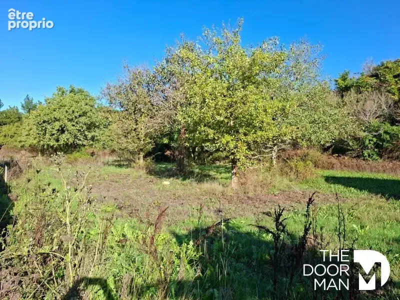Terrain 44420 - photo 3